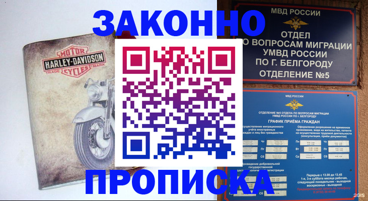 прописка для школы в Аксае